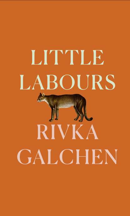 Galchen Rivka: Little Labours