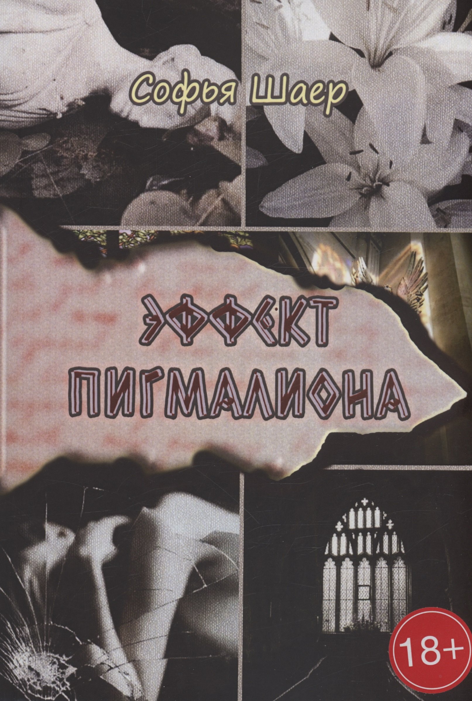 Шаер Софья: Эффект Пигмалиона