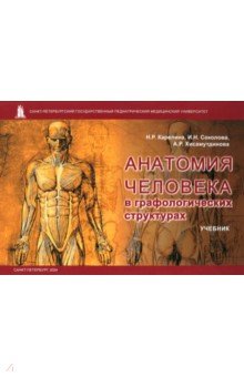 Соколова Ирина Александровна: Анатомия человека в графологических структурах. Учебник