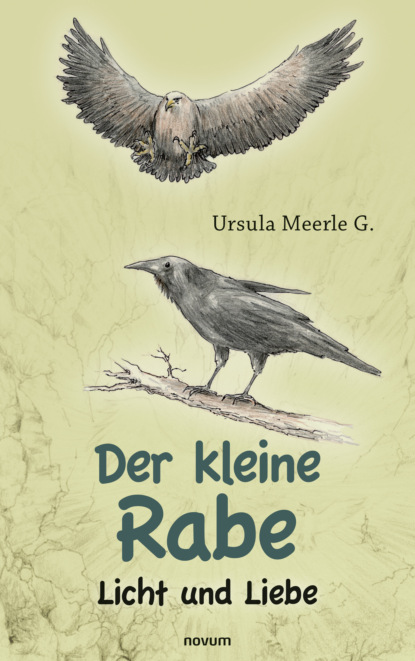 Meerle Ursula G.: Der kleine Rabe