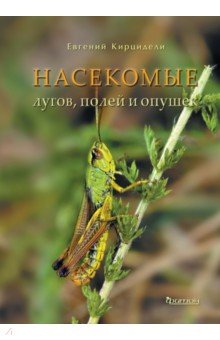 Кирцидели Евгений Юрьевич: Насекомые лугов, полей и опушек