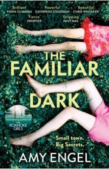 Engel Amy: The Familiar Dark