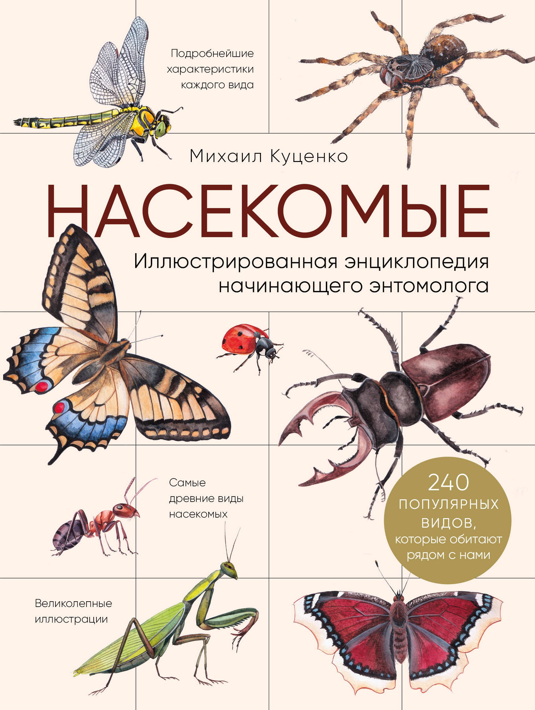 Куценко Михаил Евгеньевич: Насекомые. Иллюстрированная энциклопедия начинающего энтомолога