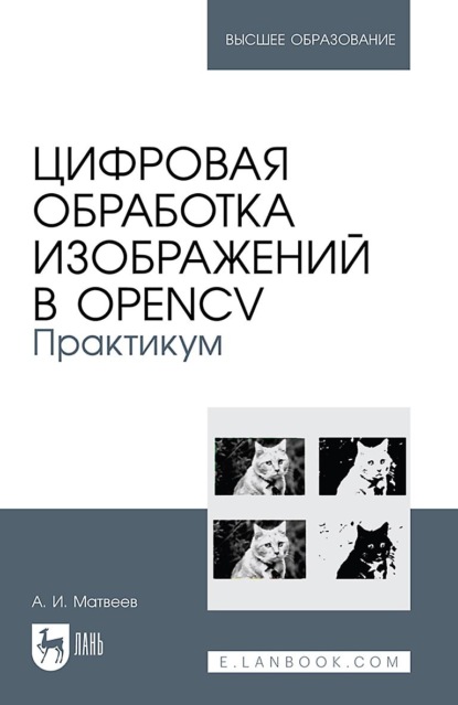 Матвеев Александр: Обработка изображений с помощью OpenCV. Практикум. Учебное пособие для вузов