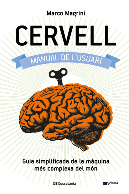 Magrini Marco: Cervell: manual de l'usuari