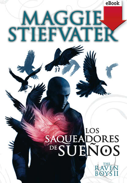 Stiefvater Maggie: Los saqueadores de sueños