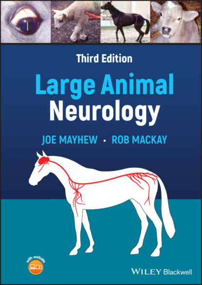 Mayhew Joe: Large Animal Neurology