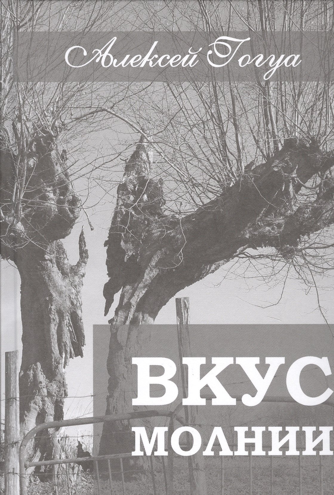 Алексей Гогуа: Вкус молнии. Рассказы