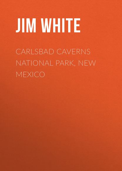 White Jim: Carlsbad Caverns National Park, New Mexico