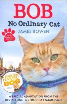 Bowen James: Bob. No Ordinary Cat