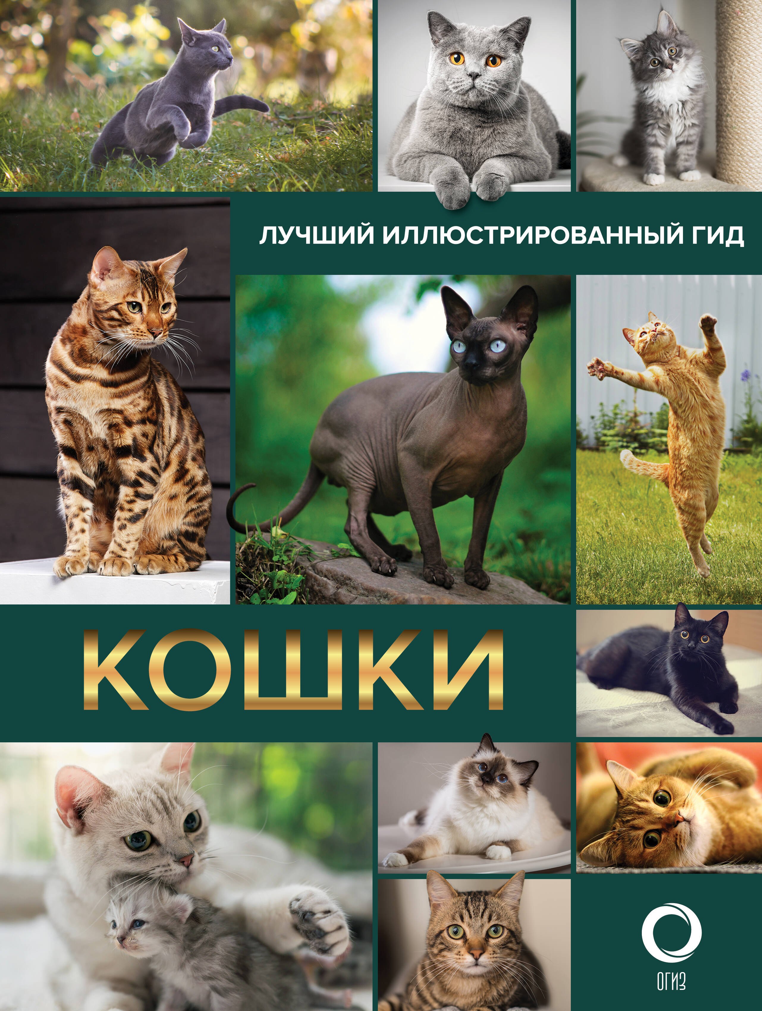 Непомнящий Н.Н.: Кошки. Лучший иллюстрированный гид