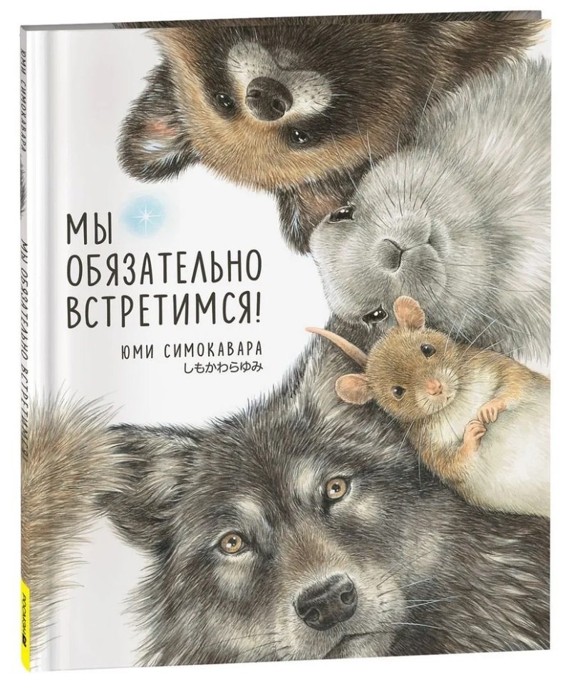 Юми Симоковара: Мы обязательно встретимся!: сказка
