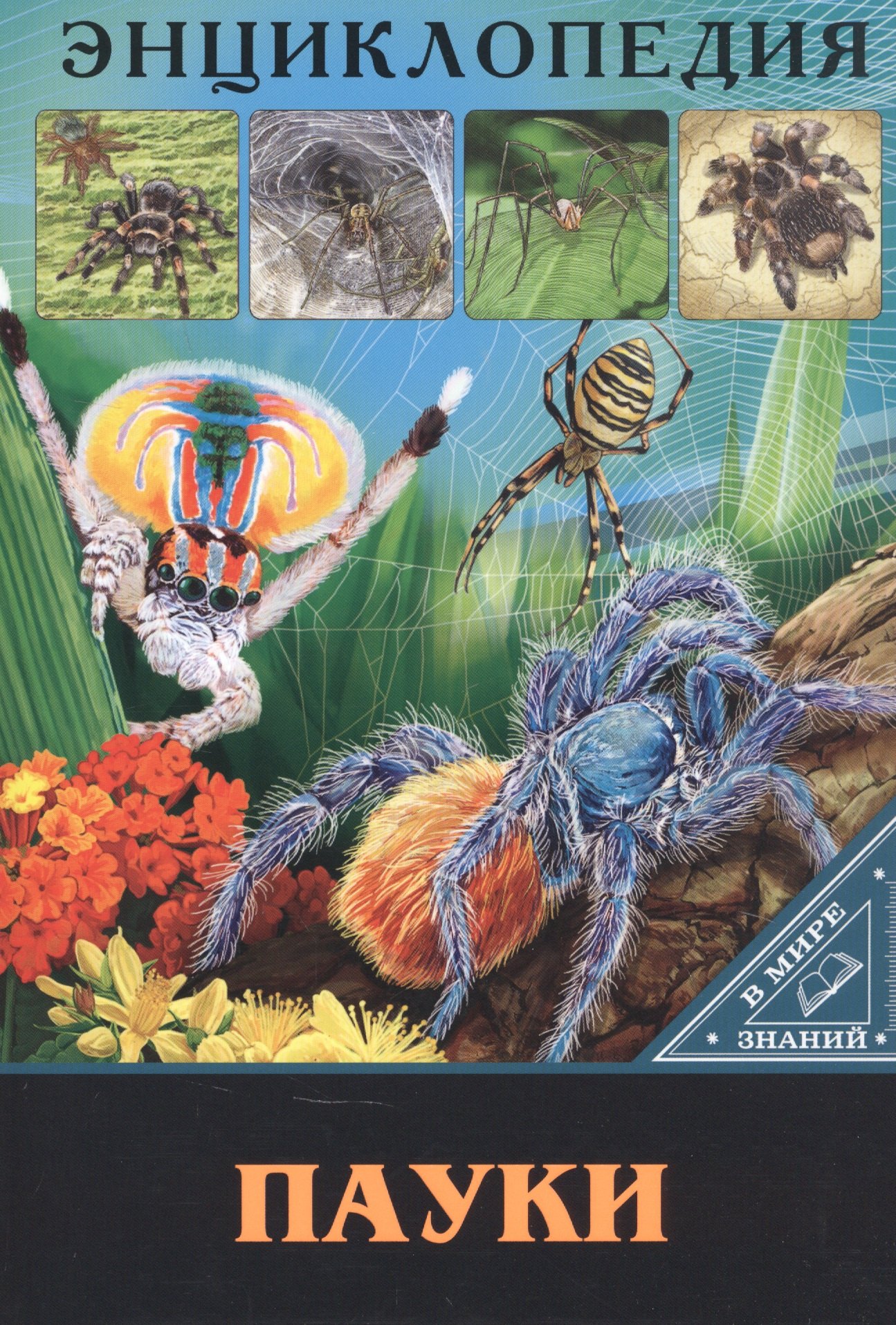 Куруськина Мария: ЭНЦИКЛОПЕДИЯ. В МИРЕ ЗНАНИЙ. ПАУКИ