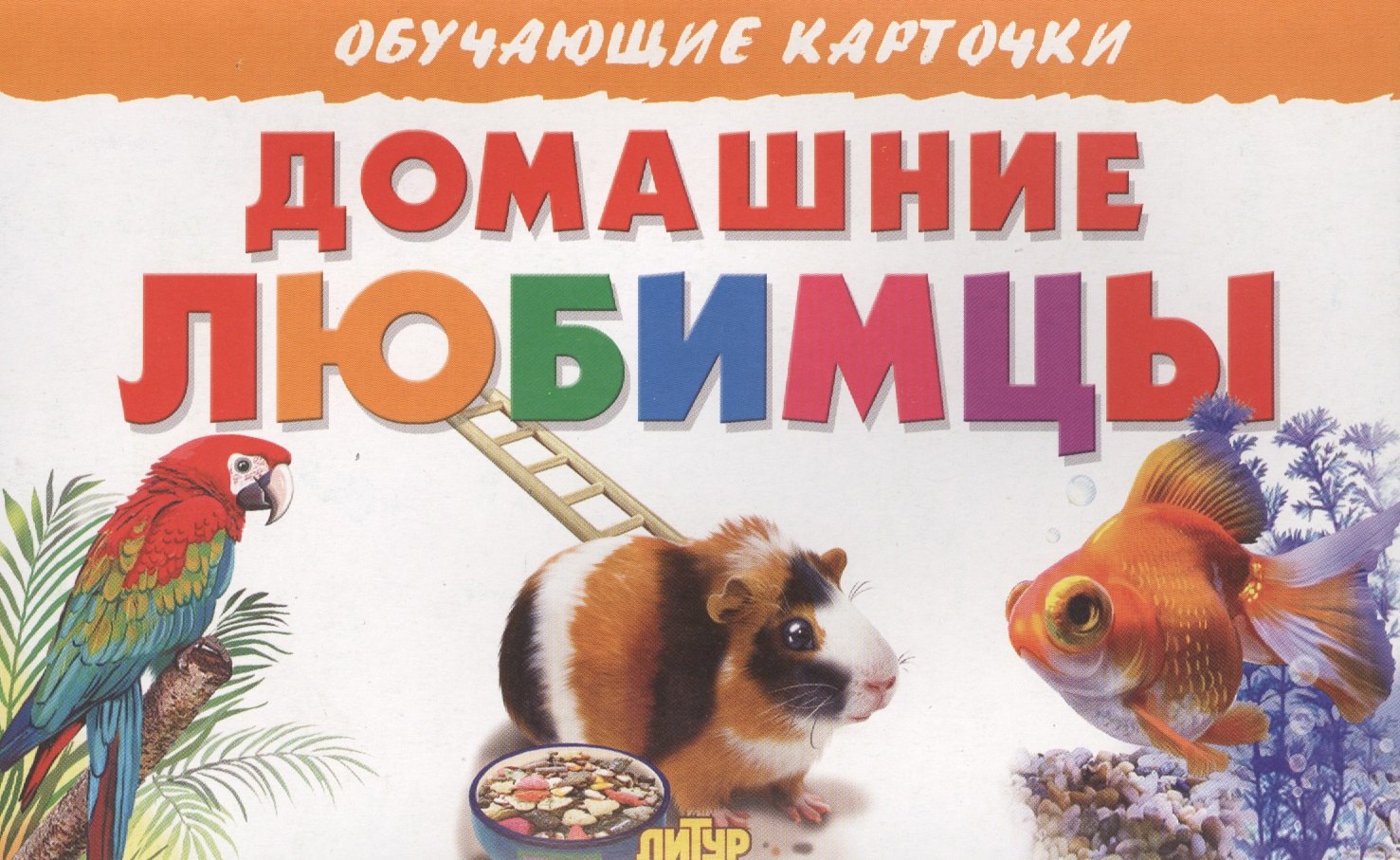 Домашние любимцы