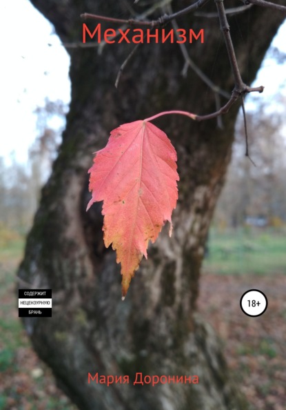 Викторовна Мария Доронина: Механизм