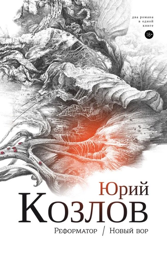 Вильямович Козлов Юрий: Реформатор. Новый вор
