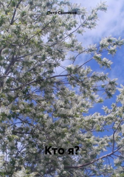 Санников Петр: Кто я?