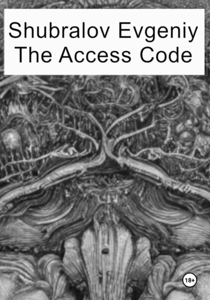 Shubralov Evgeniy: The Access Code