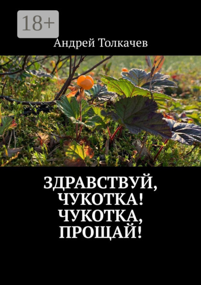 Толкачев Андрей: Здравствуй, Чукотка! Чукотка, прощай!