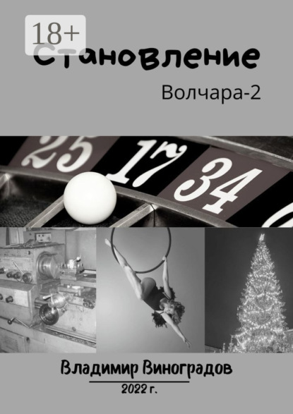 Виноградов Владимир: Становление