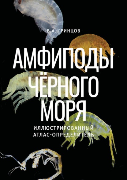 А. В. Гринцов: Амфиподы Чёрного моря. Иллюстрированный атлас-определитель