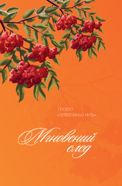 Долматов Владимир: Мгновений след