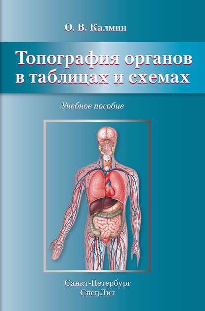 В. О. Калмин: Топография органов в таблицах и схемах. Учебное пособие