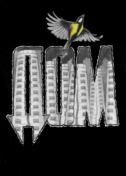 Лаевский Николай: Дом