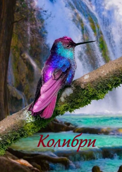 Лукас Стефания: Колибри