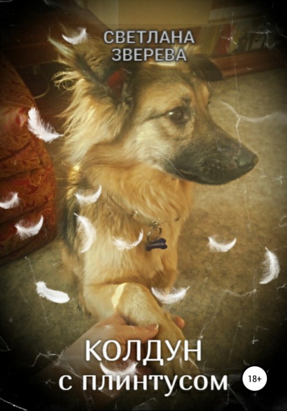 Александровна Светлана Зверева: Колдун с плинтусом