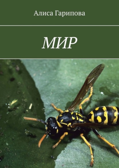 Гарипова Алиса: Мир
