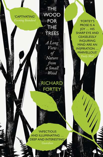 Fortey Richard: The Wood for the Trees: The Long View of Nature from a Small Wood