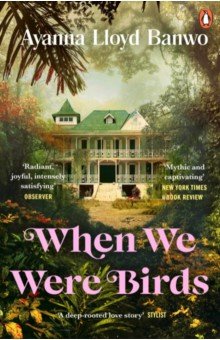 Banwo Ayanna Lloyd: When We Were Birds