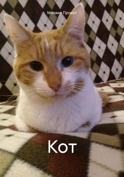 Львович Михаил Проект: Кот