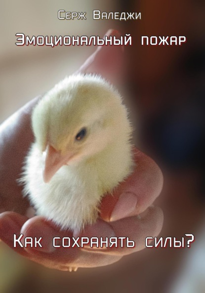 Валеджи Серж: Эмоциональный пожар. Как сохранять силы?