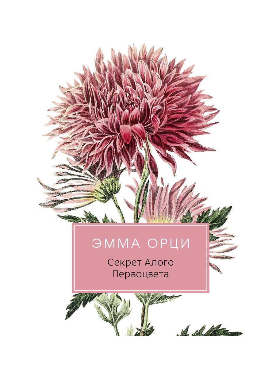 Орци Эмма: Секрет Алого Первоцвета: роман