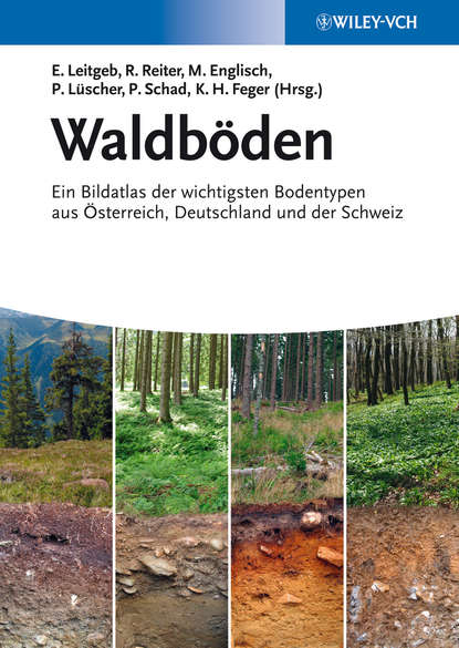 Waldböden. Ein Bildatlas der Wichtigsten Bodentypen aus Österreich, Deutschland und der Schweiz