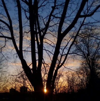 Neumann Natascha: Anders Sein